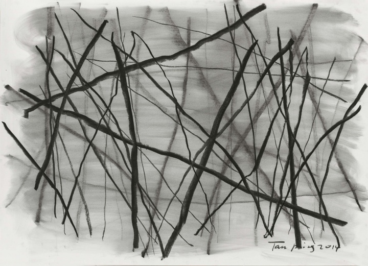 《素描》 纸上炭笔 78.7x109.2cm 2014
《素描》 纸上炭笔 78.7x109.2cm 2014