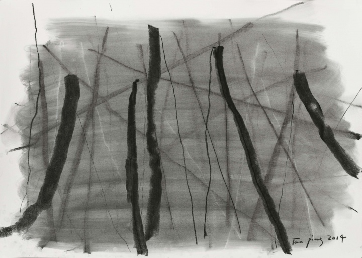 《素描》纸上 炭笔 78.7x109.2cm 2014
《素描》纸上 炭笔 78.7x109.2cm 2014