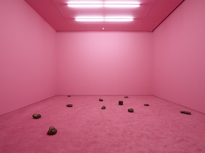 2014年伦敦白立方个展现场
2014年伦敦白立方个展现场