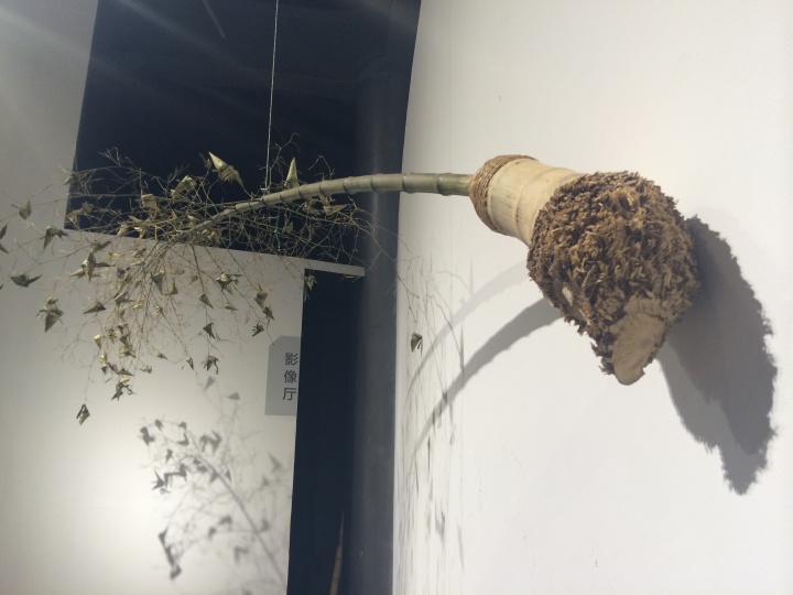 劝说屈原的渔翁,和那些投入江里的“粽子”
劝说屈原的渔翁,和那些投入江里的“粽子”