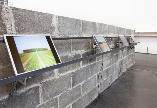 2012年于UCCA举办的展览“阚萱:大谷子堆” 现场图 2012年于UCCA举办的展览“阚萱:大谷子堆” 现场图