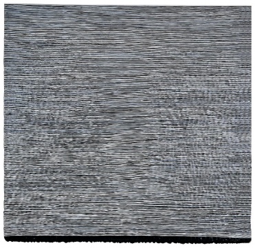Lot00164 王光乐 《寿漆070311》115x119cm 2007 估价:58-78万 Lot00164 王光乐 《寿漆070311》115x119cm 2007 估价:58-78万