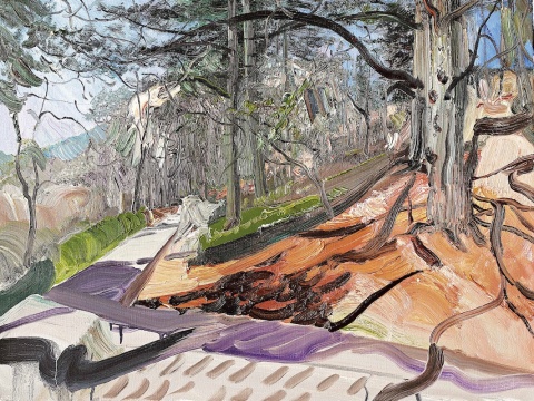 《狮林阳光》60×80cm 布面油画 2014年
《狮林阳光》60×80cm 布面油画 2014年