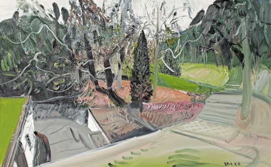 《寂静的后院》80×130cm 布面油画 2012年
《寂静的后院》80×130cm 布面油画 2012年
