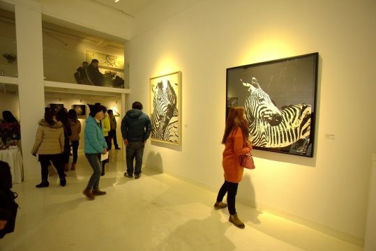 展览现场
展览现场