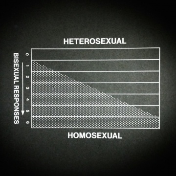 Wellcome Museum里展出的男性性欲高涨的高峰时间曲线图