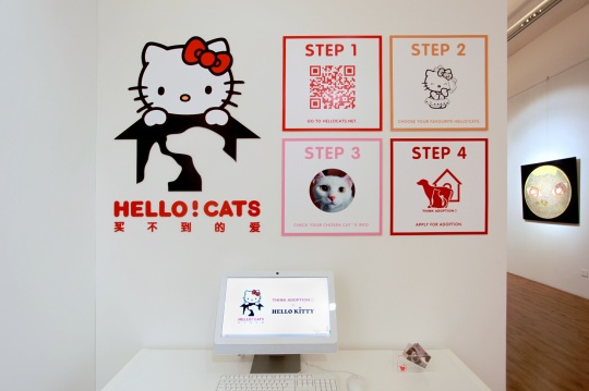 hello!cats买不到的爱网站现场体验
hello!cats买不到的爱网站现场体验