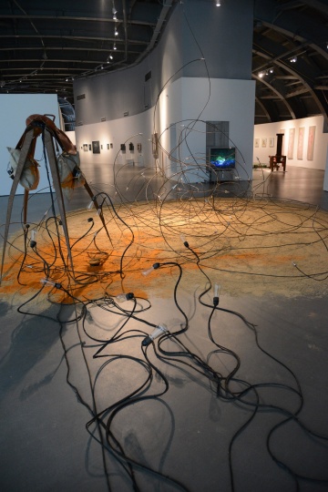 2013年6月13日,“复调——二十一种状态”将生态调查的方式带入展览方式中
2013年6月13日,“复调——二十一种状态”将生态调查的方式带入展览方式中