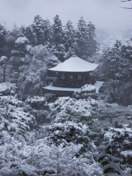 銀阁寺雪景
