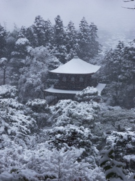 銀阁寺雪景
銀阁寺雪景