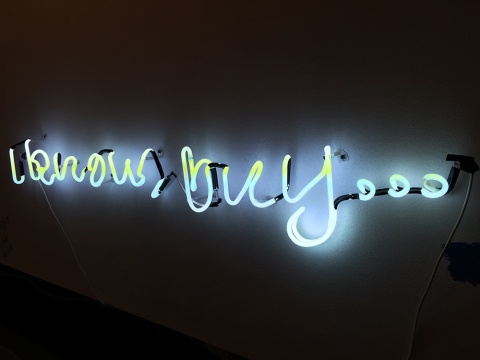 赖志杰 《I know,But》 霓虹灯 尺寸可变 2015
赖志杰 《I know,But》 霓虹灯 尺寸可变 2015