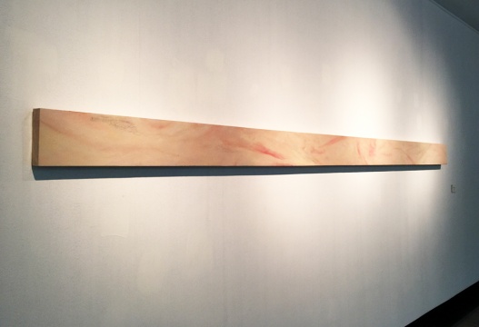 孙佳兴 《皮的研究(二)》 20x400cm 2014
孙佳兴 《皮的研究(二)》 20x400cm 2014