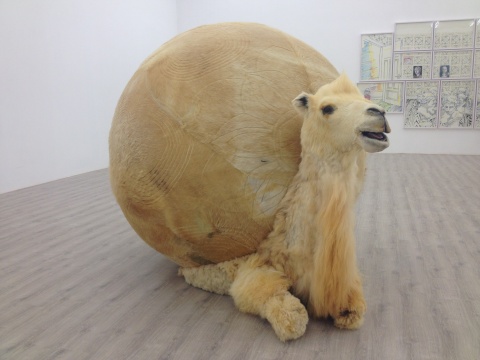 背着硕大球形气囊的骆驼标本延续着艺术家动物充气雕塑系列的创作
