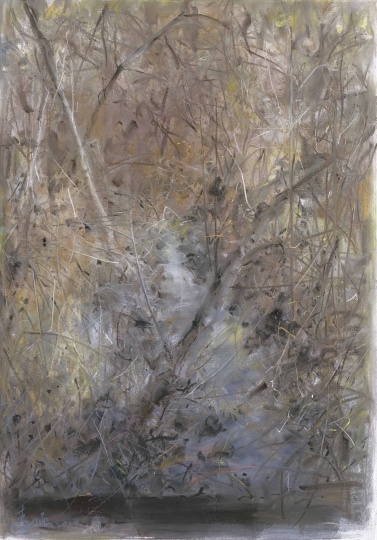 《风景2014No.5》 69×49cm 色粉 2014
