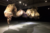 90后执掌寺上美术馆 首推姜杰“大于一吨半”