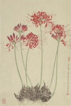 立秋《本草纲目之石蒜》2010年
立秋《本草纲目之石蒜》2010年