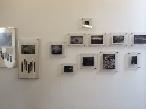 郑海一龙《原型观感》作品现场，2011－2013年
