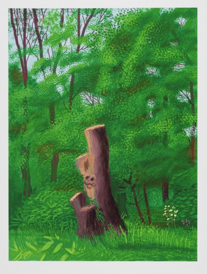 《The Arrival of Spring in Woldgate, East Yorkshire in 2011 (Twenty Eleven) - 22 May》,139.7×105.4 cm，iPad绘画纸上打印，2011年，© David Hockney / Richard Schmidt
