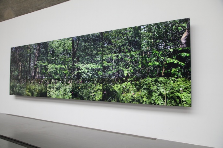 《七个约克郡风景》作品现场,18个数码影像同步播放于18台NEC显示器组成一件作品,2011年,摄影:吴丹丹 《七个约克郡风景》作品现场,18个数码影像同步播放于18台NEC显示器组成一件作品,2011年,摄影:吴丹丹