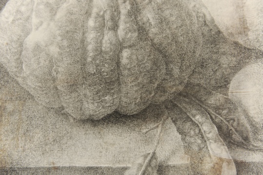 金罡《温室新品种no.1》局部 190×50cm 布面油画 2012 b.1985 毕业于四川美术学院油画系
金罡《温室新品种no.1》局部 190×50cm 布面油画 2012 b.1985 毕业于四川美术学院油画系