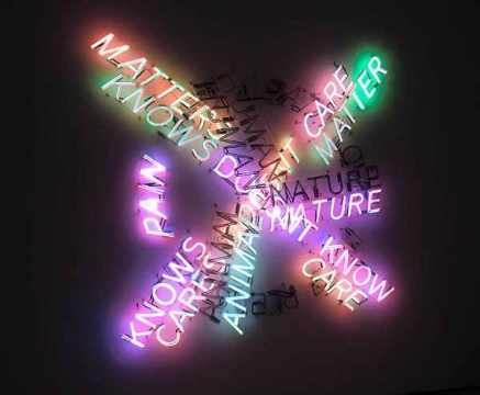 Bruce Nauman的作品《Human Nature Life Death Knows Doesn't Know》（1983） 
