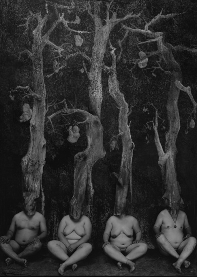 《人参果》155cm×110cm 2011摄影(哈内姆勒基宣)
《人参果》155cm×110cm 2011摄影(哈内姆勒基宣)