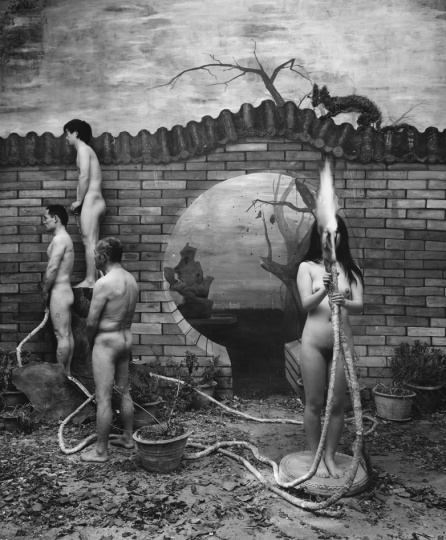《灯芯草》130cm×110cm 2012 摄影(哈内姆勒基宣) 《灯芯草》130cm×110cm 2012 摄影(哈内姆勒基宣)