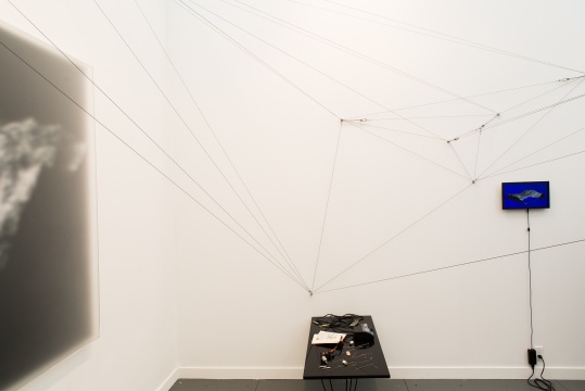 上海的Leo Xu Projects
上海的Leo Xu Projects