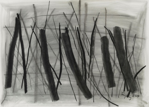 谭平 《素描》 78.7×109.2cm 炭笔 2014 谭平 《素描》 78.7×109.2cm 炭笔 2014
