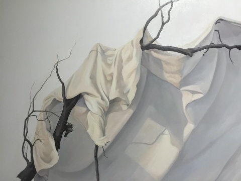 《惹尘埃系列之乘风》作品局部：白色的布蒙在树枝上，但树枝向外发散的形态又为整个画面带来一种动势
