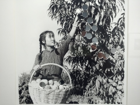 《摘果子》 手工银盐照片、镜子 41×41cm 版本：1/5 2015
