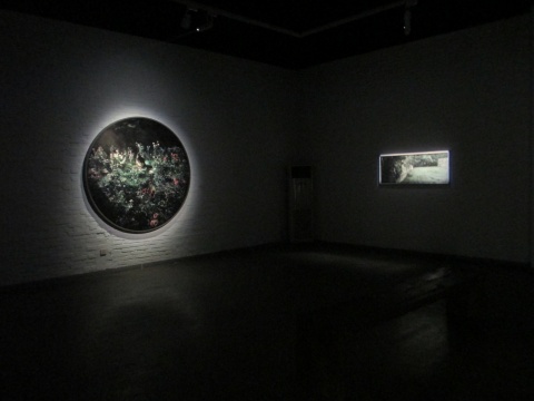 树影绰约的背后 王岱山个展“幽寂之地”亮相桥舍 树影绰约的背后 王岱山个展“幽寂之地”亮相桥舍