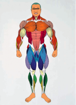 Lot 4177 &nbsp; 陈飞 《只有傻瓜才悲伤》180×130cm 2010 布面丙烯 &nbsp;估价：60-80万元
