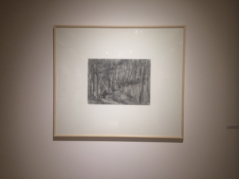《寒林》素描纸本 54.8x78.5cm 2015
《寒林》素描纸本 54.8x78.5cm 2015