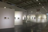 高名潞首次作品展 追溯70年代的内蒙古岁月,范迪安,高名潞,盛葳