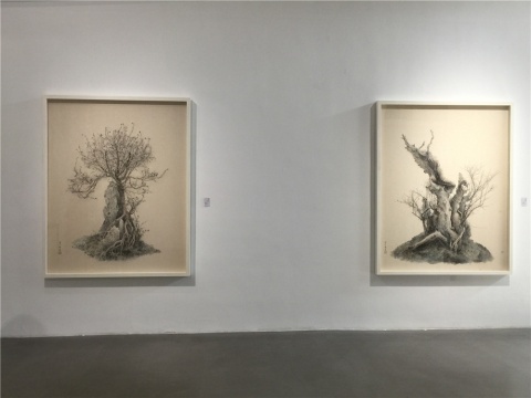 曾小俊 2015年水墨设色纸本作品《小孤山馆藏盆景》系列
曾小俊 2015年水墨设色纸本作品《小孤山馆藏盆景》系列