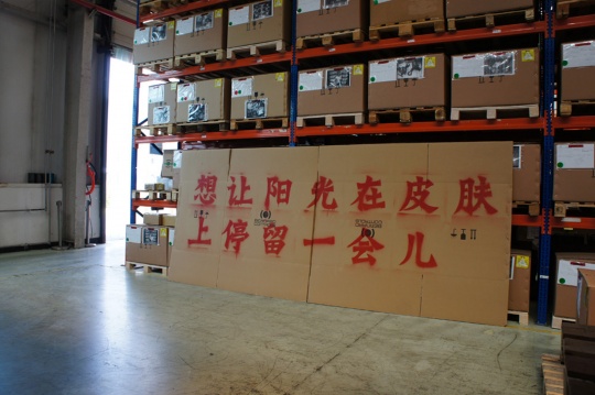 《社会敏感性研究与发展计划-马永峰》，新“大字报” 视频 2012
