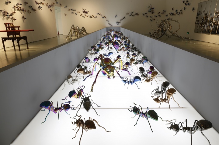 《小蚂蚁》 42×20×36cm 彩色不锈钢锻造 镀钛 2013
