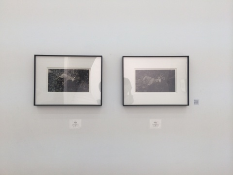 展览现场
展览现场