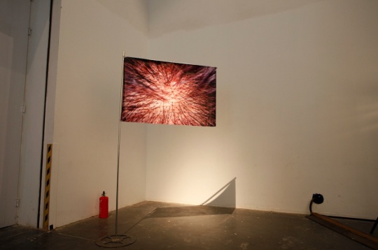 展览现场
展览现场