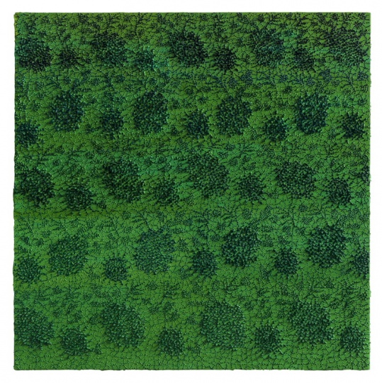 《清凉》 100x100cm  布面油画  2015
