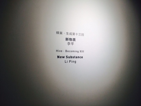 李平个展“新物质”现场
