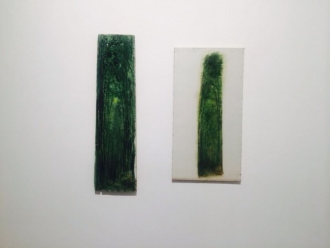 王勇亮作品现场
