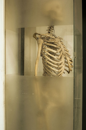在工作室前往二楼楼梯的角落，立着一幅人体骨架。
