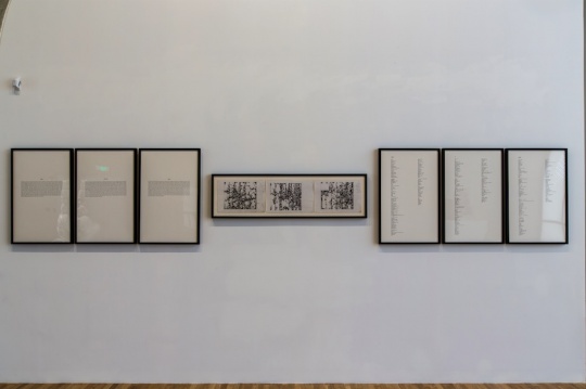 《图与字》作品现场,王郁洋早期在图像和文字之间进行试验的作品
《图与字》作品现场,王郁洋早期在图像和文字之间进行试验的作品