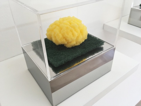 周文斗《海绵 - 大脑》 9 × 6 × 4.5 cm 海绵 2006
周文斗《海绵 - 大脑》 9 × 6 × 4.5 cm 海绵 2006