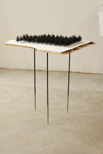 《森林2》 综合材料 85x80x60cm 2011
《森林2》 综合材料 85x80x60cm 2011
