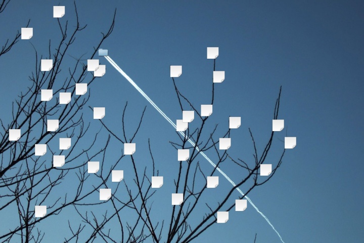 林科 《数据叶和喷气式文件夹》 收藏级打印&nbsp;2013&nbsp;杨画廊
