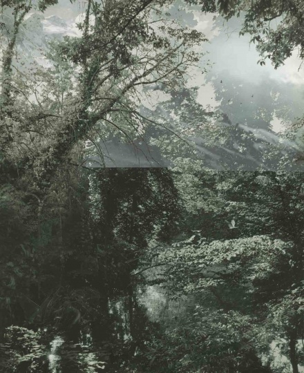 Aki Lumi 《花园No.6》 143×120cm 微喷&nbsp;2012&nbsp;Vanguard Gallery
