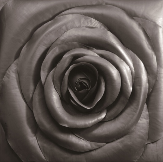 《大方玫瑰》 122×122×15cm  铅皮 2010